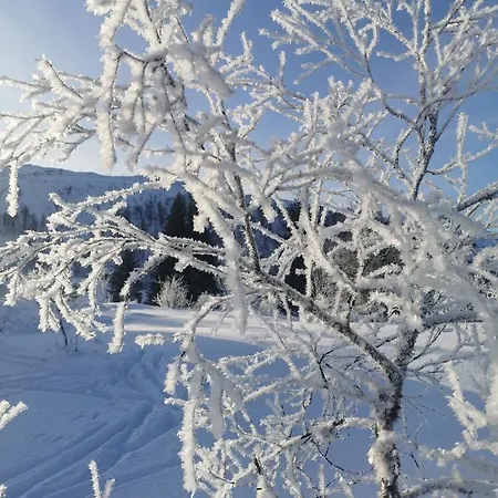 Tangen - With 4 Bedrooms - Great Nature * Norheimsund