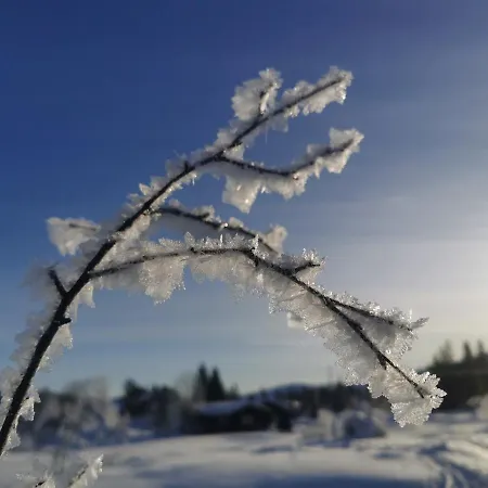 Tangen - With 4 Bedrooms - Great Nature * Norheimsund