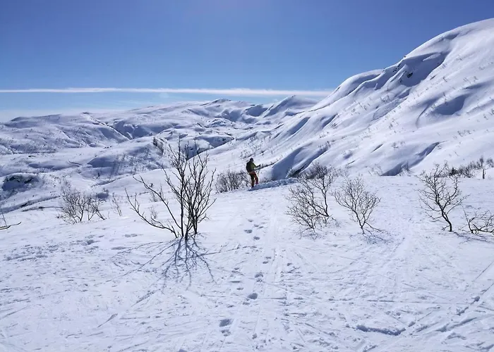 Tangen - With 4 Bedrooms - Great Nature * Norheimsund