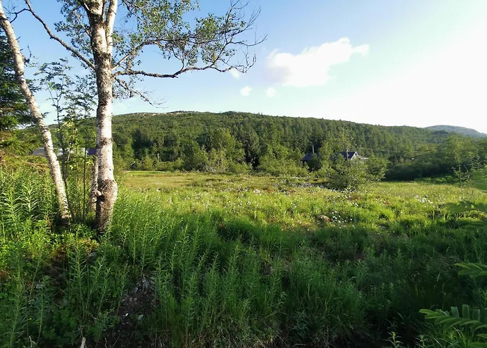 Tangen - With 4 Bedrooms - Great Nature * Norheimsund