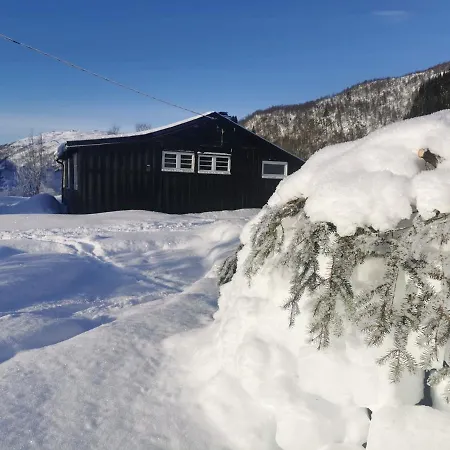 Feriehus Tangen - With 4 Bedrooms - Great Nature Norheimsund